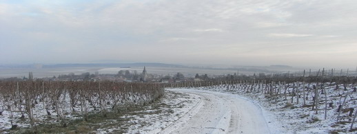 Champagne vineyards in winter - paysage hivernal, neige, vignes en champagne - janvier 2009